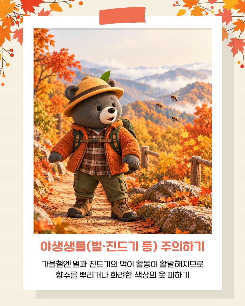 단풍철 가을산행 안전수칙