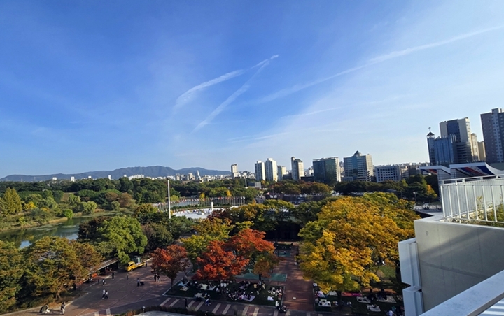 가을 풍경을 바라보다 문득 친구가 떠올랐다. (본인 촬영)