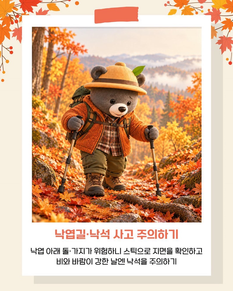단풍철 가을산행 안전수칙