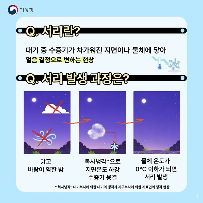 밤사이 찬 공기가 만드는 서리
