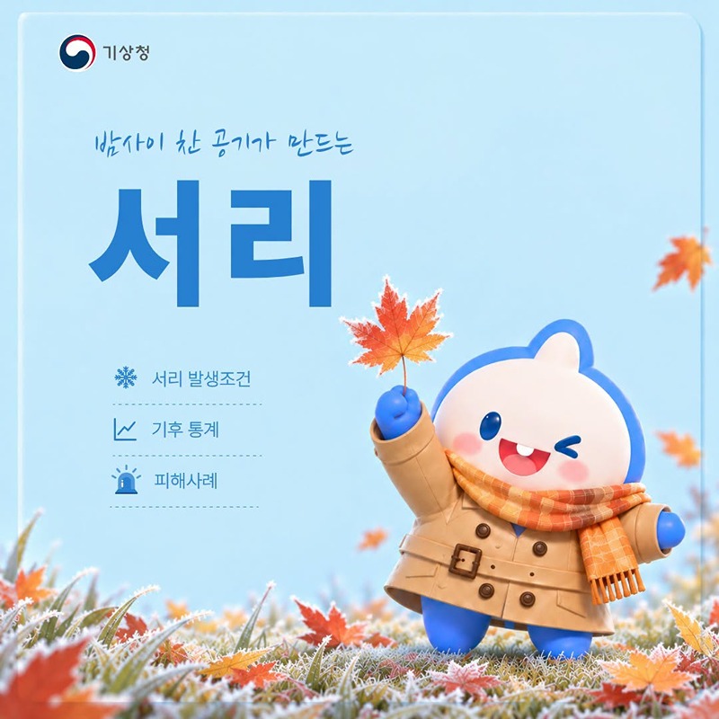 밤사이 찬 공기가 만드는 서리