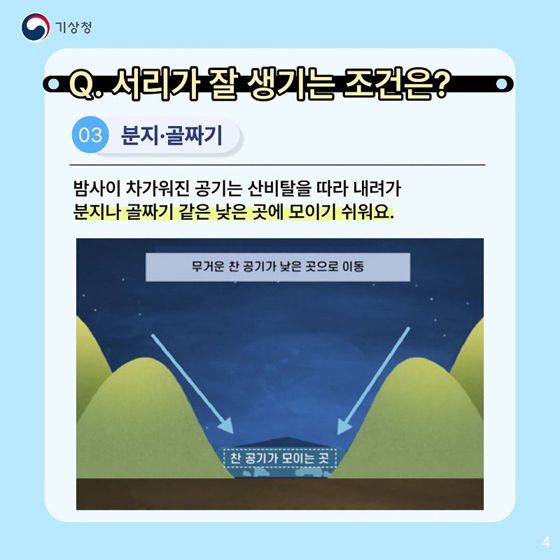 밤사이 찬 공기가 만드는 서리