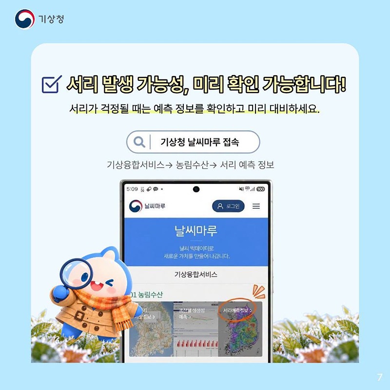 밤사이 찬 공기가 만드는 서리