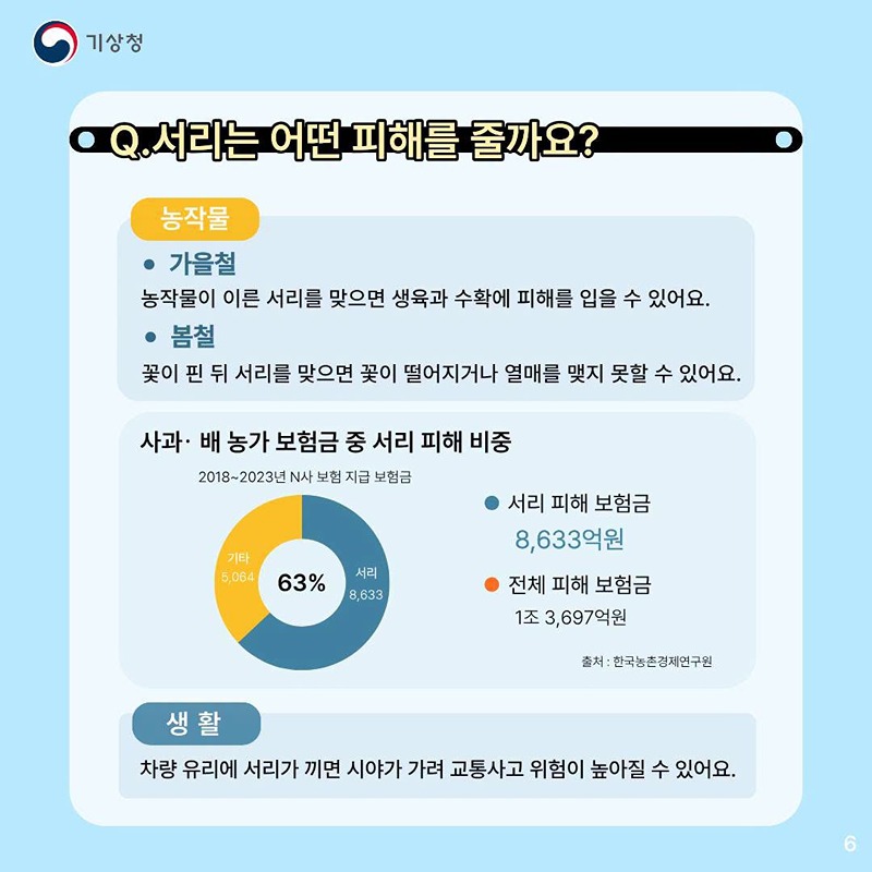 밤사이 찬 공기가 만드는 서리