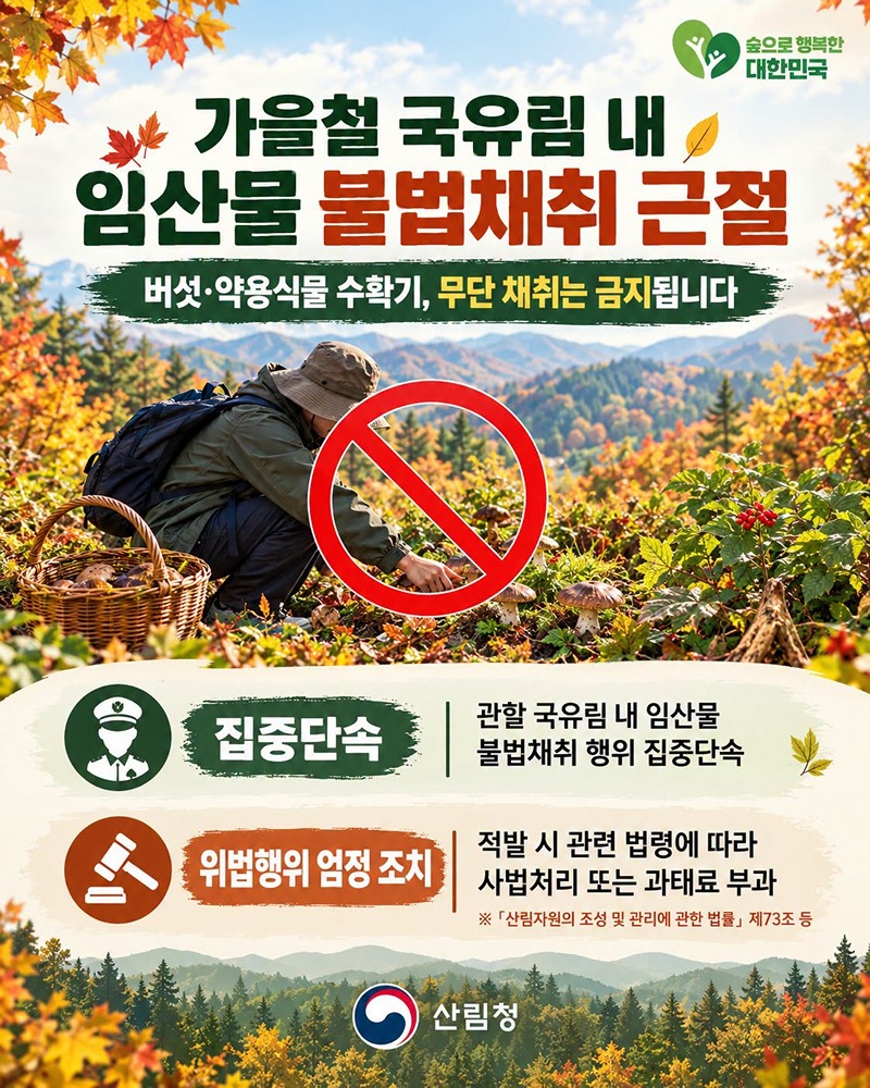 가을철 국유림 내 임산물 불법채취 근절 하단내용 참조