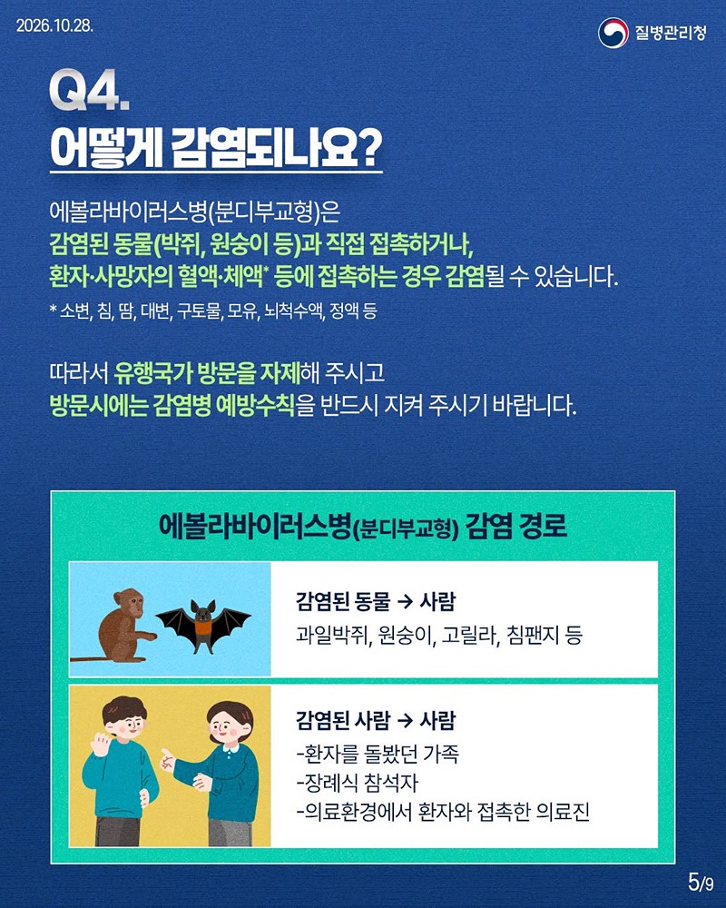 에볼라바이러스병(분디부교형) 바로 알기!