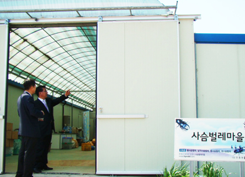 함평군 월야면의 ‘사슴벌레마을’ 농장. 330㎡ 크기에 저온실과 우화실을 갖췄다. 함평나비영농조합법인 최문채 대표가 시설 내부를 설명하고 있다.