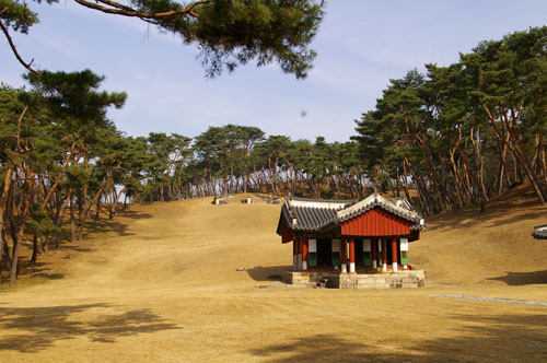 송림에 둘러싸인 사릉. 부드러운 언덕 위 자그마한 능침엔 비운의 왕후가 잠들어 있다