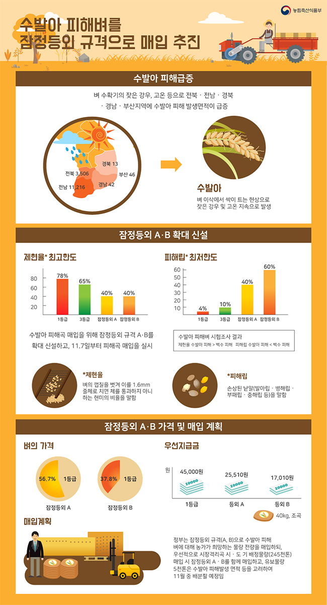 수발아 피해벼를 잠정등외 규격으로 매입 추진 하단내용 참조
