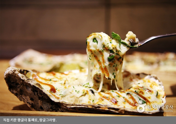 직접 키운 왕굴이 통째로, 왕굴그라탱