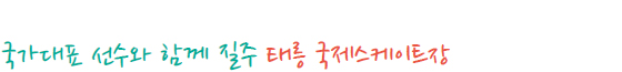 국가대표 선수와 함께 질주 태릉 국제스케이트장 
