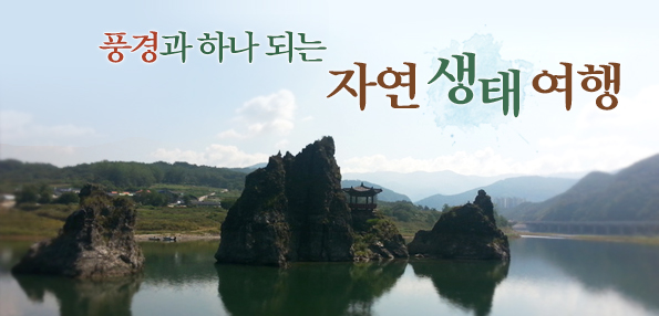 풍경과 하나 되는 자연 생태 여행’