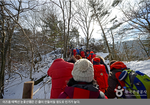 이즈음 태백산 눈꽃산행은 긴 줄이 만들어질 정도로 인기가 높다.