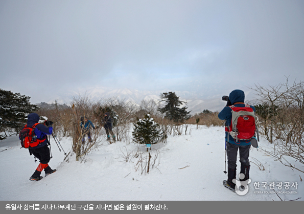 유일사 쉼터를 지나 나무계단 구간을 지나면 넓은 설원이 펼쳐진다. 