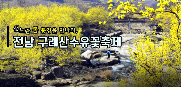 [전라남도 구례] 산수유마을