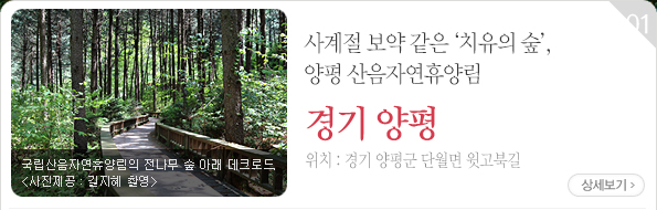 사계절 보약 같은 ‘치유의 숲’, 양평 산음자연휴양림 - 경기 양평군