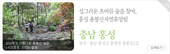 싱그러운 초여름 숲을 찾아, 홍성 용봉산자연휴양림 - 충남 홍성군