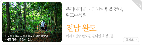 우리나라 최대의 난대림을 걷다, 완도수목원 - 전남 완도군