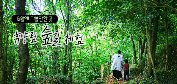 6월에 가볼만한 곳, ‘휴양림 숲길 체험’