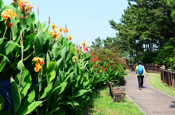 제주 작가의 산책길 (제주 서귀포시)