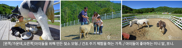 [왼쪽/가운데/오른쪽]아이들을 위해 만든 젖소 모형 / 건초 주기 체험을 하는 가족 / 아이들이 좋아하는 미니 말, 포니