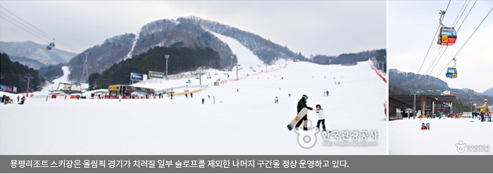 용평리조트 스키장은 올림픽 경기가 치러질 일부 슬로프를 제외한 나머지 구간을 정상 운영하고 있다.