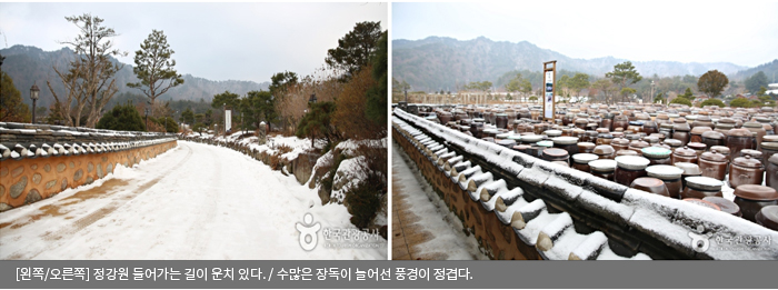 [왼쪽/오른쪽]정강원 들어가는 길이 운치 있다. / 수많은 장독이 늘어선 풍경이 정겹다.