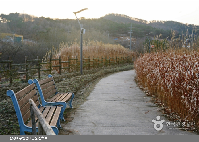 탑정호수변생태공원 산책로