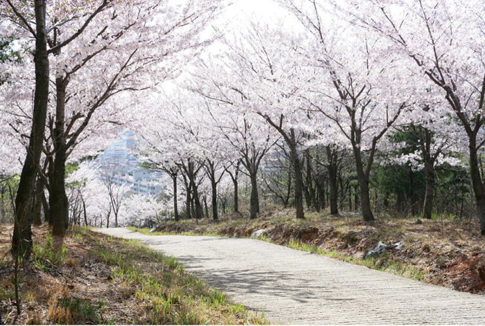 울산어울길 01코스 (울산 동구) 이미지2