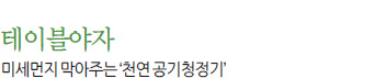 테이블야자 미세먼지 막아주는 ‘천연 공기청정기’