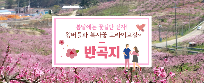 봄날에는 꽃길만 걷자! 왕버들과 복사꽃 드라이브길~ 반곡지