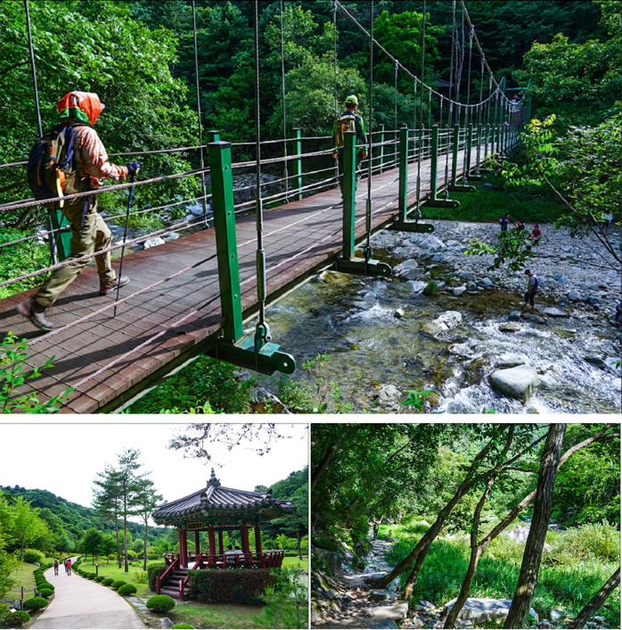 수타사 산소길 (강원 홍천)