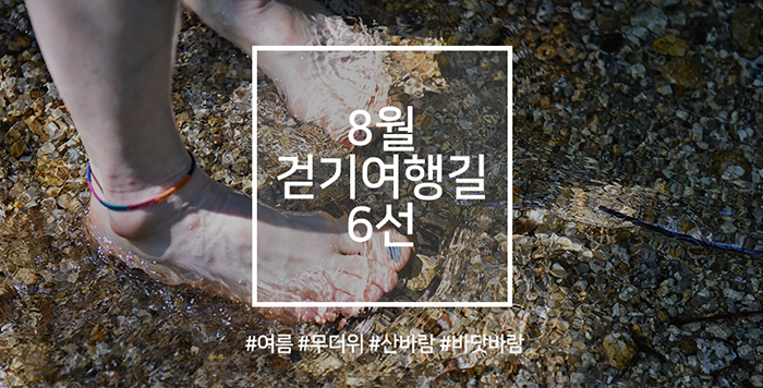 8월 걷기여행길 6선, 여름의 정취를 느낄 수 있는 길