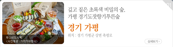 깊고 짙은 초록색 비밀의 숲, 가평 경기도잣향기푸른숲 - 경기 가평