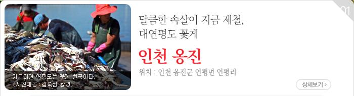 달큼한 속살이 지금 제철, 대연평도 꽃게 - 인천 옹진