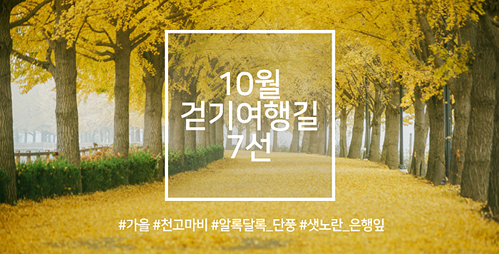 10월 걷기여행길 7선, 알록달록 단풍이 물든 길