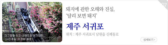 미끄럼 타는 흑돼지 보고 동백축제도 즐기는, 제주 휴애리자연생활공원 - 제주 서귀포시 