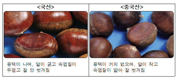 밤