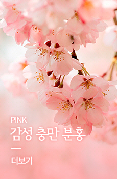 Pink 감성 충만 분홍
