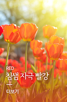 Red 침샘 자극 빨강