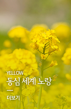 Yellow 동심 세계 노랑
