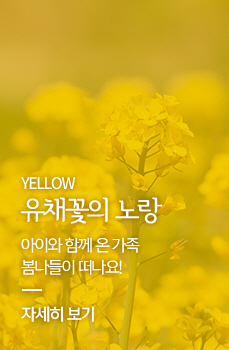 Yellow 유채꽃의 노랑 - 아이와 함께 온 가족 봄나들이 떠나요!