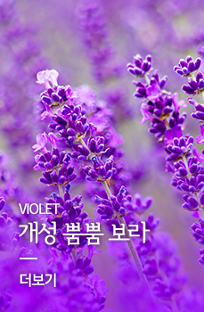 Violet 개성 뿜뿜 보라