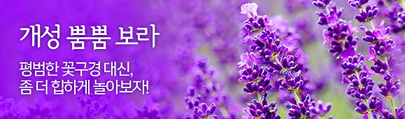 개성 뿜뿜 보라 - 평범한 꽃구경 대신 조금 더 힙하게 놀아보자!