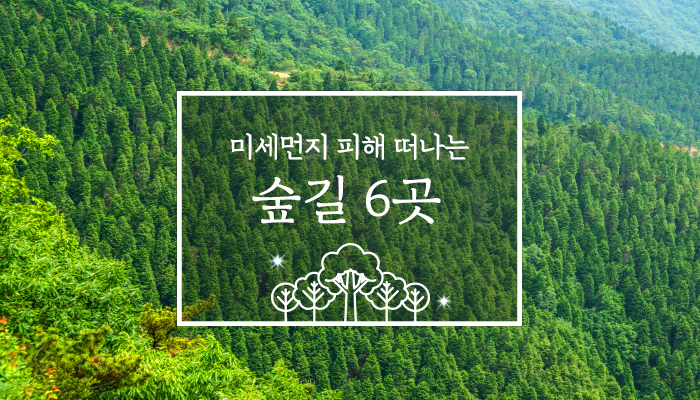 미세먼지 피해 떠나는 숲길 6곳 