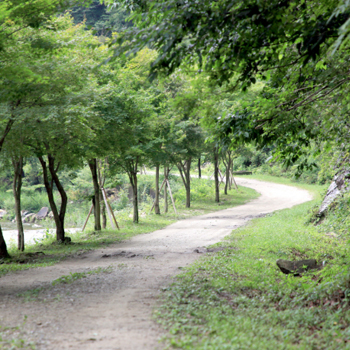 방화동-덕산계곡 장안산 생태탐방로 이미지