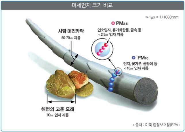 미세먼지 크기 비교 ※1㎛=1/1000mm 사람의 머리카락 50~70㎛ 지름, PM2.5 연소입자, 유기화합물, 금속 등 〈2.5㎛ 입자 지름, PM10 먼지, 꽃가루, 곰파이 등 〈 10㎛ 입자 지름, 해변의 고운 모래 90㎛ 입자 지름 ＊출처: 미국 환경보호정(EPA)