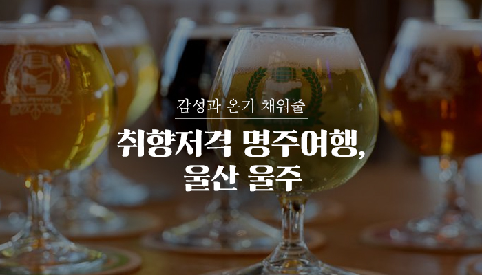 감성과 온기 채워줄 취향저격 명주여행