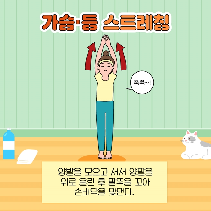 가슴과 등