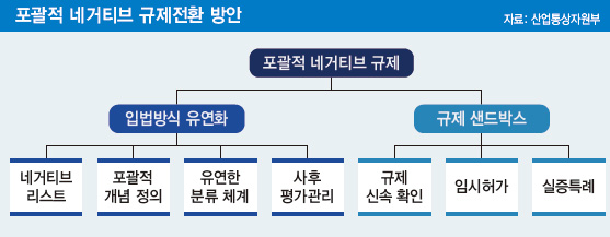 포괄적 네거티브 규제전환 방안